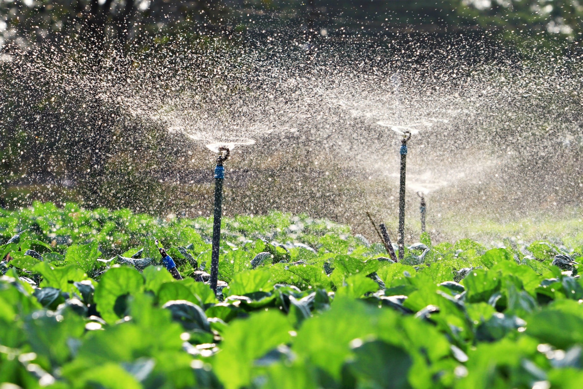 Expert Drainage Services in Aledo , TX for Long-Lasting Drainage Solutions