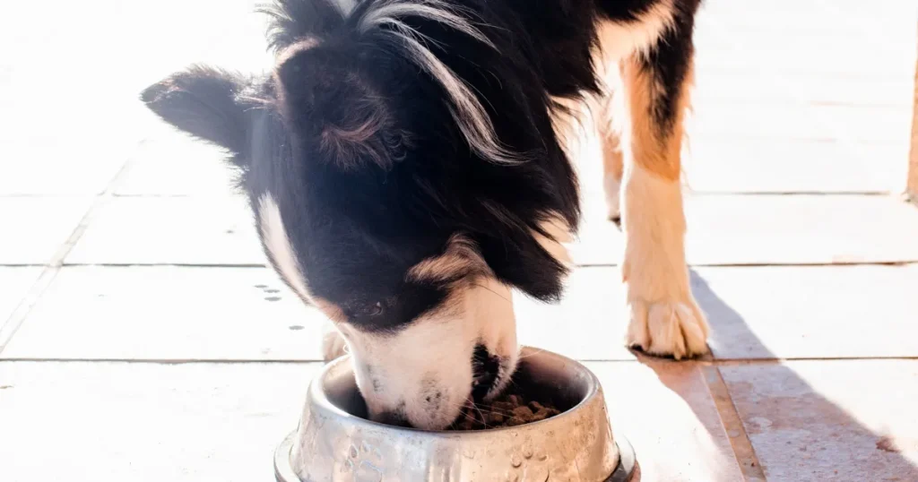 GettyImages-1345213068