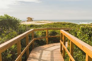 pexels-rafael-augusto-barbosa-da-silva-100709281-28042791