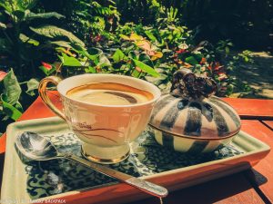 Cafes-to-work-from_chiang-mai_old-Town_clay-studio-coffee-garden